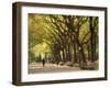 People Walking Through Central Park in Autumn, NYC-Walter Bibikow-Framed Premium Photographic Print