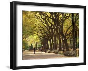 People Walking Through Central Park in Autumn, NYC-Walter Bibikow-Framed Premium Photographic Print