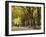 People Walking Through Central Park in Autumn, NYC-Walter Bibikow-Framed Premium Photographic Print