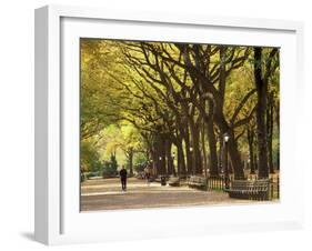 People Walking Through Central Park in Autumn, NYC-Walter Bibikow-Framed Premium Photographic Print