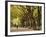 People Walking Through Central Park in Autumn, NYC-Walter Bibikow-Framed Photographic Print