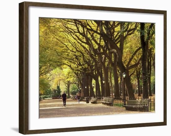 People Walking Through Central Park in Autumn, NYC-Walter Bibikow-Framed Photographic Print