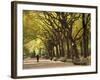 People Walking Through Central Park in Autumn, NYC-Walter Bibikow-Framed Photographic Print