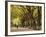 People Walking Through Central Park in Autumn, NYC-Walter Bibikow-Framed Photographic Print