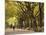 People Walking Through Central Park in Autumn, NYC-Walter Bibikow-Mounted Photographic Print