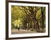 People Walking Through Central Park in Autumn, NYC-Walter Bibikow-Framed Photographic Print