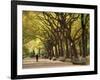 People Walking Through Central Park in Autumn, NYC-Walter Bibikow-Framed Photographic Print