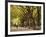 People Walking Through Central Park in Autumn, NYC-Walter Bibikow-Framed Photographic Print