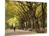 People Walking Through Central Park in Autumn, NYC-Walter Bibikow-Mounted Photographic Print