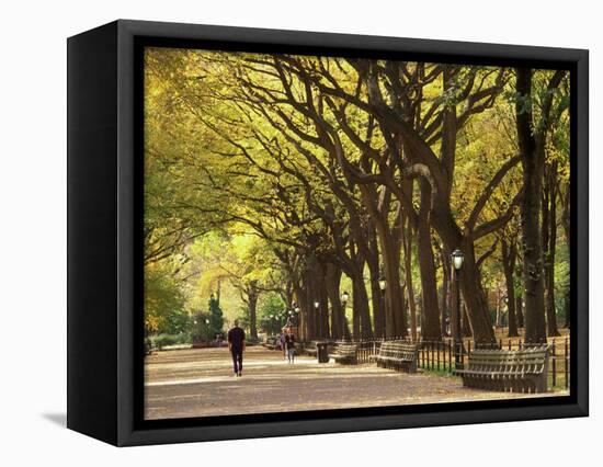 People Walking Through Central Park in Autumn, NYC-Walter Bibikow-Framed Stretched Canvas