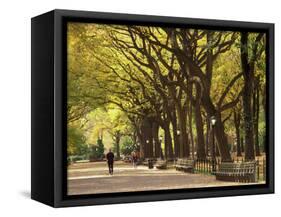 People Walking Through Central Park in Autumn, NYC-Walter Bibikow-Framed Stretched Canvas