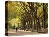 People Walking Through Central Park in Autumn, NYC-Walter Bibikow-Stretched Canvas