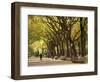 People Walking Through Central Park in Autumn, NYC-Walter Bibikow-Framed Photographic Print