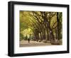 People Walking Through Central Park in Autumn, NYC-Walter Bibikow-Framed Photographic Print