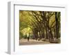 People Walking Through Central Park in Autumn, NYC-Walter Bibikow-Framed Photographic Print