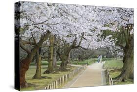People Walking under Cherry Trees in Blossom in Koraku-En Garden-Ian Trower-Stretched Canvas
