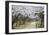 People Walking under Cherry Trees in Blossom in Koraku-En Garden-Ian Trower-Framed Photographic Print