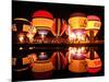 People Watch Hot Air Balloons as They Reflect off the Barigui Lake-null-Mounted Photographic Print