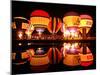 People Watch Hot Air Balloons as They Reflect off the Barigui Lake-null-Mounted Photographic Print