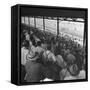 People Watching Horse Racing-null-Framed Stretched Canvas