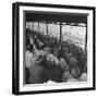 People Watching Horse Racing-null-Framed Photographic Print