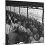 People Watching Horse Racing-null-Mounted Photographic Print