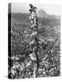 People Watching Mohandas K. Gandhi's Funeral from Tower-Margaret Bourke-White-Stretched Canvas