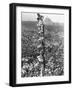 People Watching Mohandas K. Gandhi's Funeral from Tower-Margaret Bourke-White-Framed Photographic Print