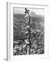 People Watching Mohandas K. Gandhi's Funeral from Tower-Margaret Bourke-White-Framed Photographic Print