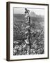 People Watching Mohandas K. Gandhi's Funeral from Tower-Margaret Bourke-White-Framed Photographic Print