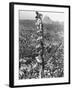 People Watching Mohandas K. Gandhi's Funeral from Tower-Margaret Bourke-White-Framed Photographic Print
