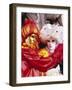 People Wearing Masked Carnival Costumes, Venice Carnival, Venice, Veneto, Italy-Bruno Morandi-Framed Photographic Print