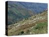 People Working in Steep Mountain Fields, at 2000M, Haiti, West Indies, Central America-Lousie Murray-Stretched Canvas