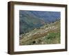 People Working in Steep Mountain Fields, at 2000M, Haiti, West Indies, Central America-Lousie Murray-Framed Photographic Print