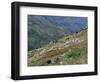 People Working in Steep Mountain Fields, at 2000M, Haiti, West Indies, Central America-Lousie Murray-Framed Photographic Print