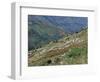 People Working in Steep Mountain Fields, at 2000M, Haiti, West Indies, Central America-Lousie Murray-Framed Photographic Print