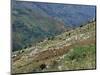 People Working in Steep Mountain Fields, at 2000M, Haiti, West Indies, Central America-Lousie Murray-Mounted Photographic Print