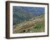 People Working in Steep Mountain Fields, at 2000M, Haiti, West Indies, Central America-Lousie Murray-Framed Photographic Print