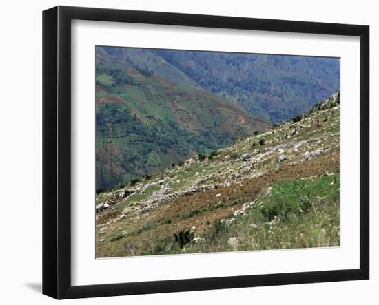 People Working in Steep Mountain Fields, at 2000M, Haiti, West Indies, Central America-Lousie Murray-Framed Photographic Print