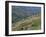 People Working in Steep Mountain Fields, at 2000M, Haiti, West Indies, Central America-Lousie Murray-Framed Photographic Print