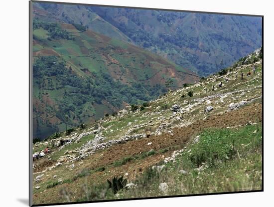 People Working in Steep Mountain Fields, at 2000M, Haiti, West Indies, Central America-Lousie Murray-Mounted Photographic Print