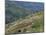 People Working in Steep Mountain Fields, at 2000M, Haiti, West Indies, Central America-Lousie Murray-Mounted Photographic Print