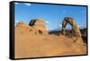 Peoples at Delicate Arch at golden hour, Arches National Park, Moab, Grand County, Utah, United Sta-Francesco Vaninetti-Framed Stretched Canvas