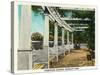 Peoria, Illinois, Bradley Park View of the Pompeian Garden-Lantern Press-Stretched Canvas