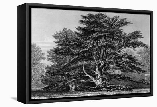 Peper Harow Park, Surrey-Thomas Allom-Framed Stretched Canvas