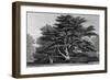 Peper Harow Park, Surrey-Thomas Allom-Framed Art Print