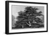 Peper Harow Park, Surrey-Thomas Allom-Framed Art Print