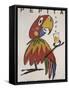 Pepita the Parrot-Vintage Apple Collection-Framed Stretched Canvas