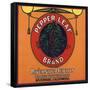 Pepper Leaf Brand - Riverside, California - Citrus Crate Label-Lantern Press-Framed Stretched Canvas