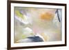 Pepper Zest-Julia Contacessi-Framed Art Print